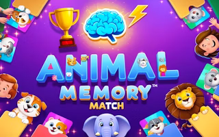 Animal Memory Match Brain Boost Challenge